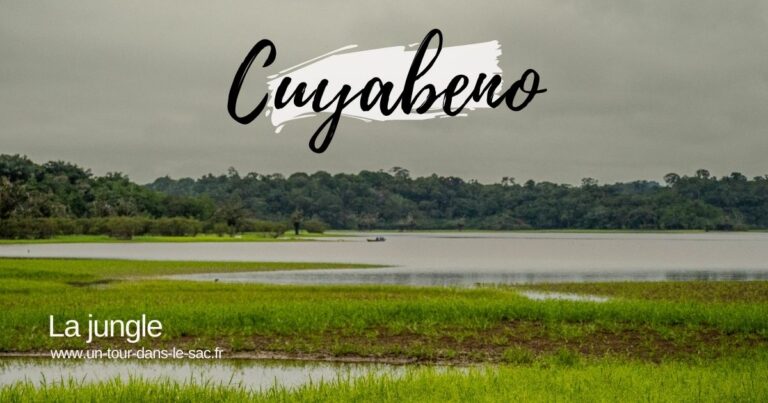 Cuyabeno Jungle Amazonienne