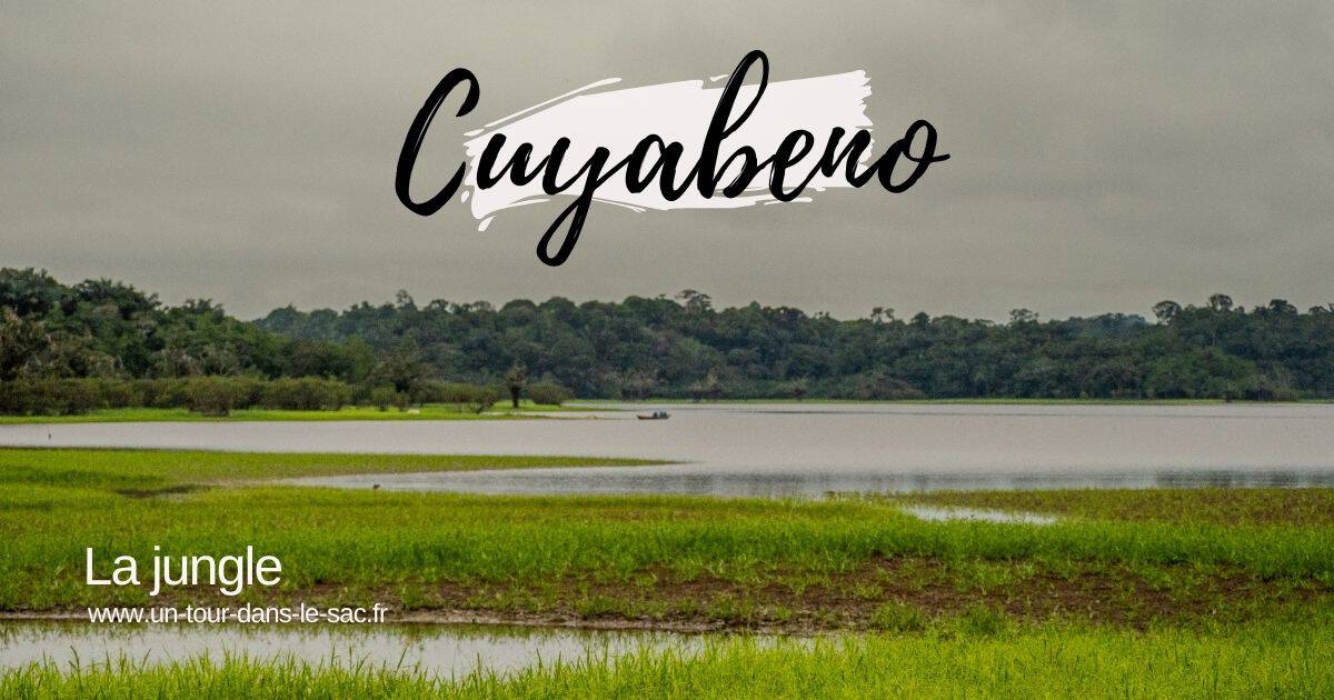 Cuyabeno Jungle Amazonienne