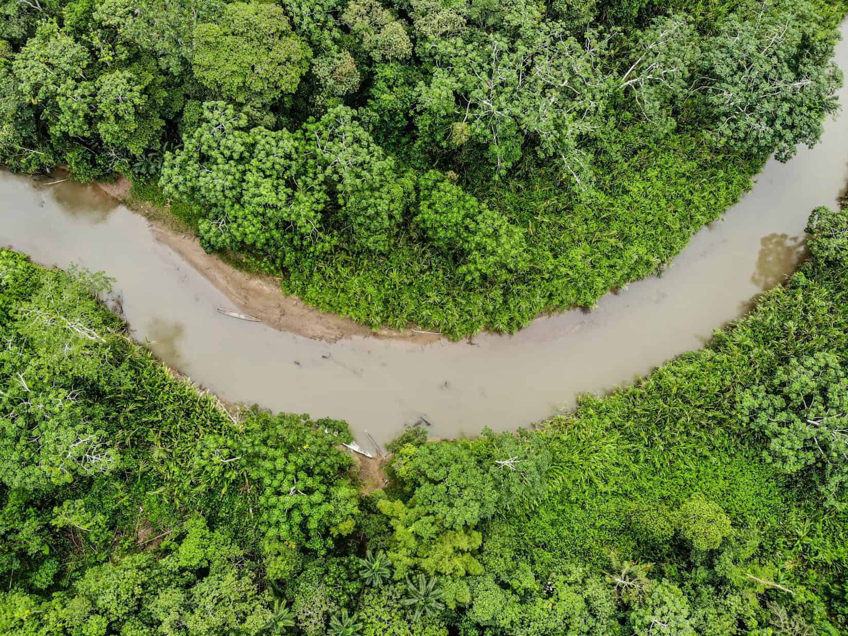 fleuve amazonie que choisir cuyabeno ou yasuni ?