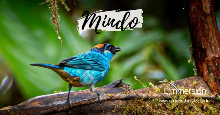 Mindo Equateur