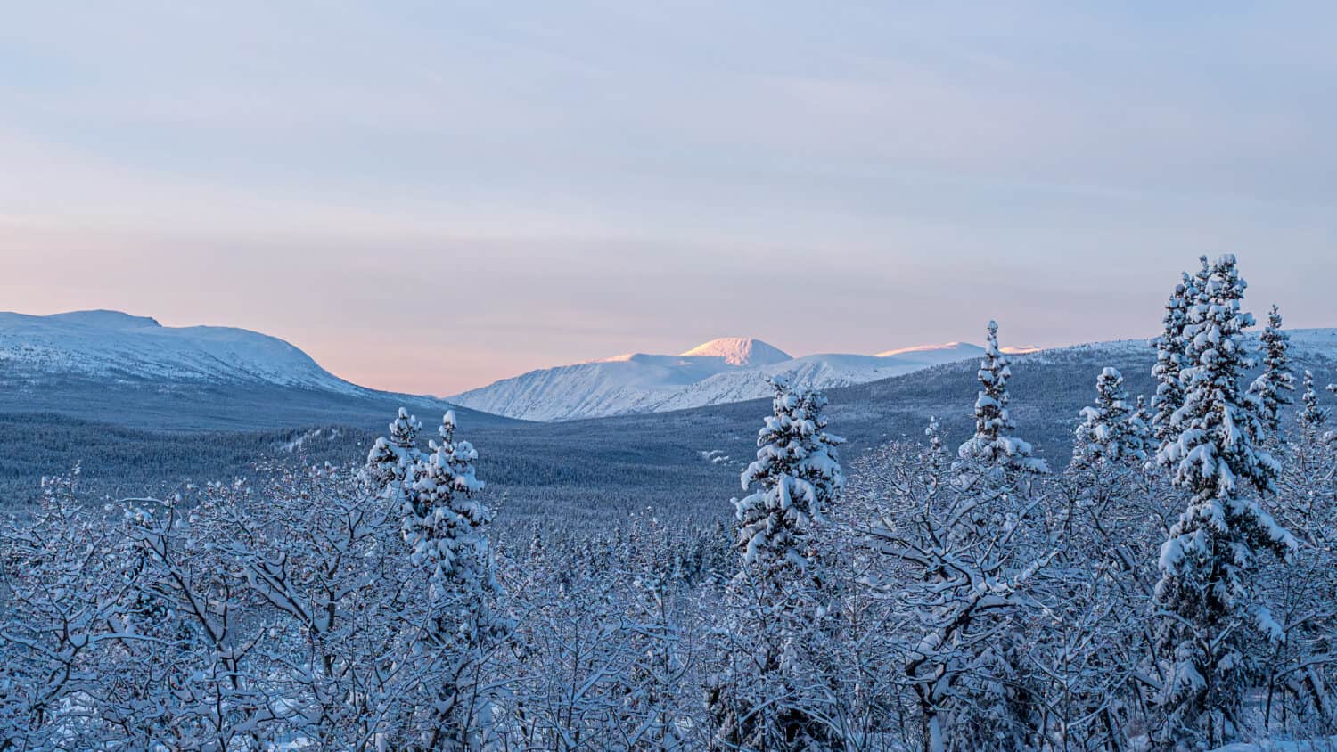 Montagnes enneigées vues de Haines Junction, Yukon