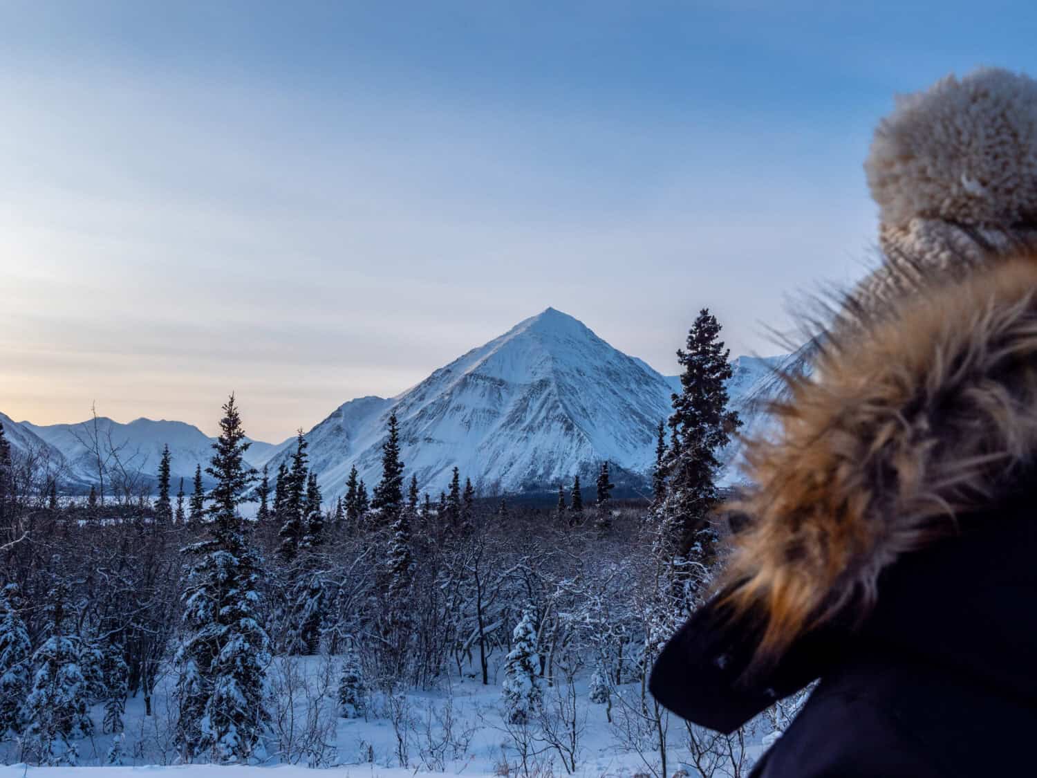 Parc national de Kluane sous la neige, Yukon