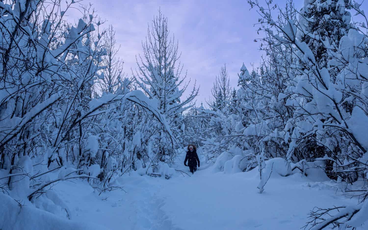 Randonnée hivernale au Yukon
