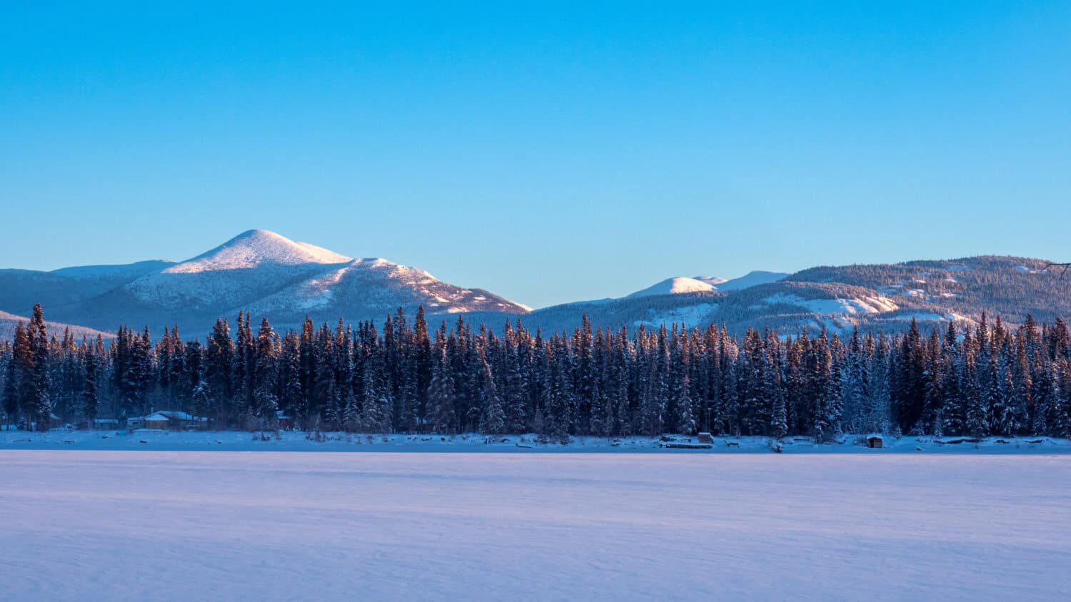 Marsh Lake Yukon