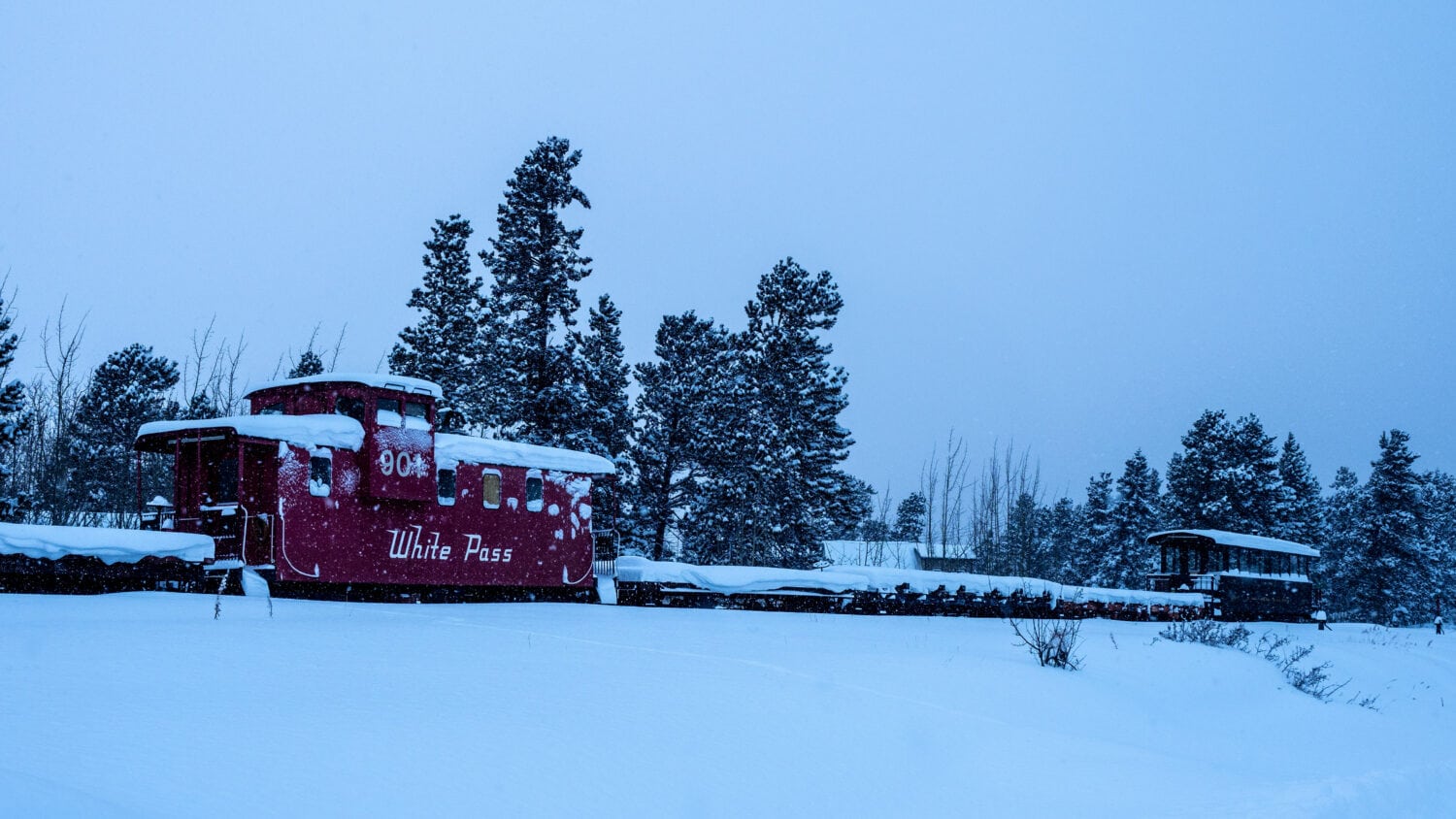 White Pass Carcross