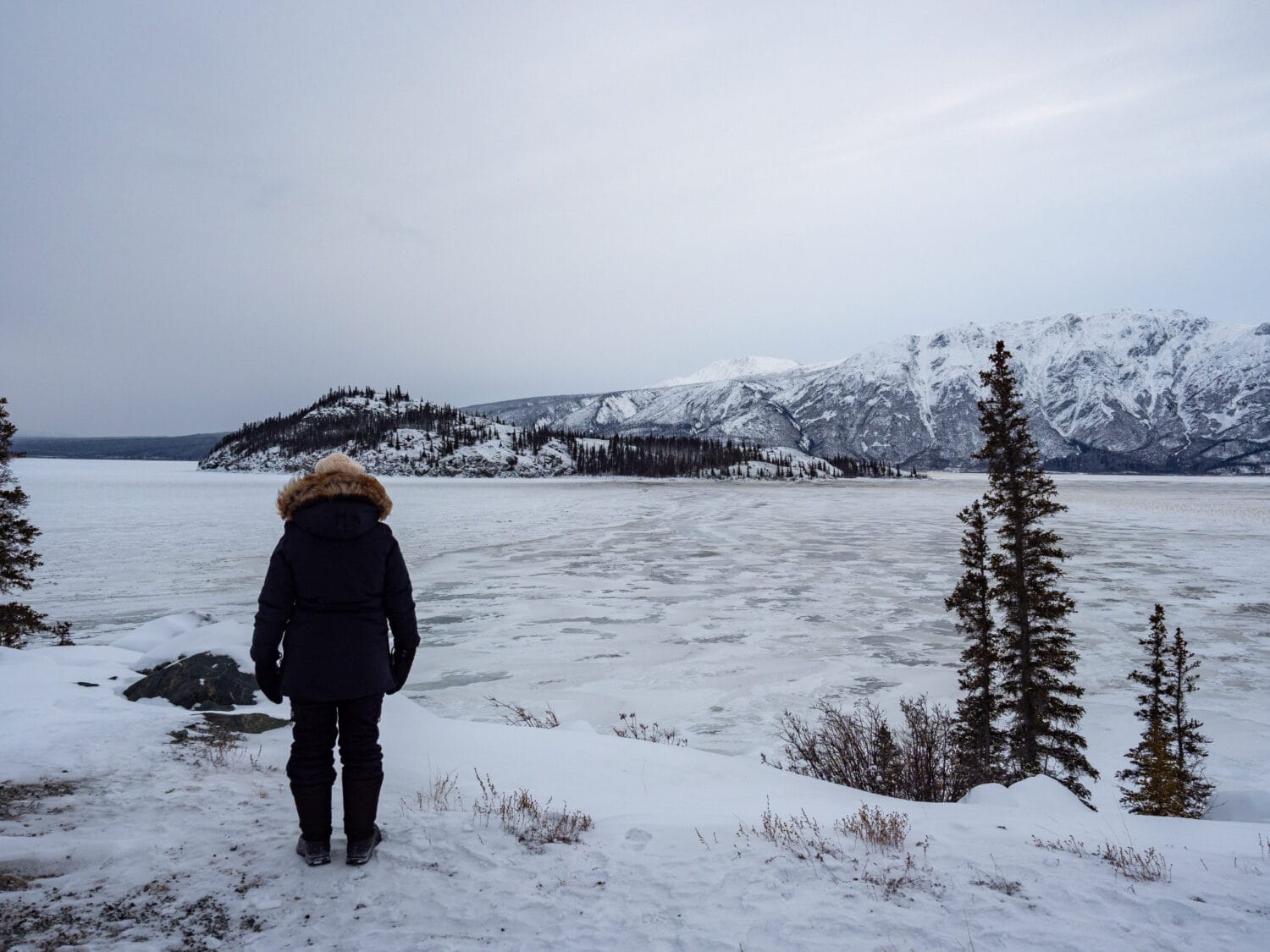 Personne regardant un lac gelé dans un paysage enneigé au Yukon.