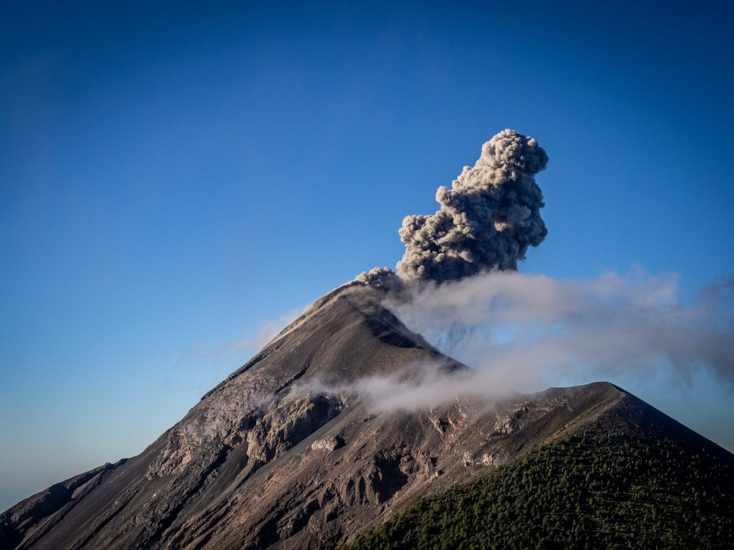 Panache de cendre au sommet du volcan Fuego sous un ciel bleu, vu depuis l’Acatenango
