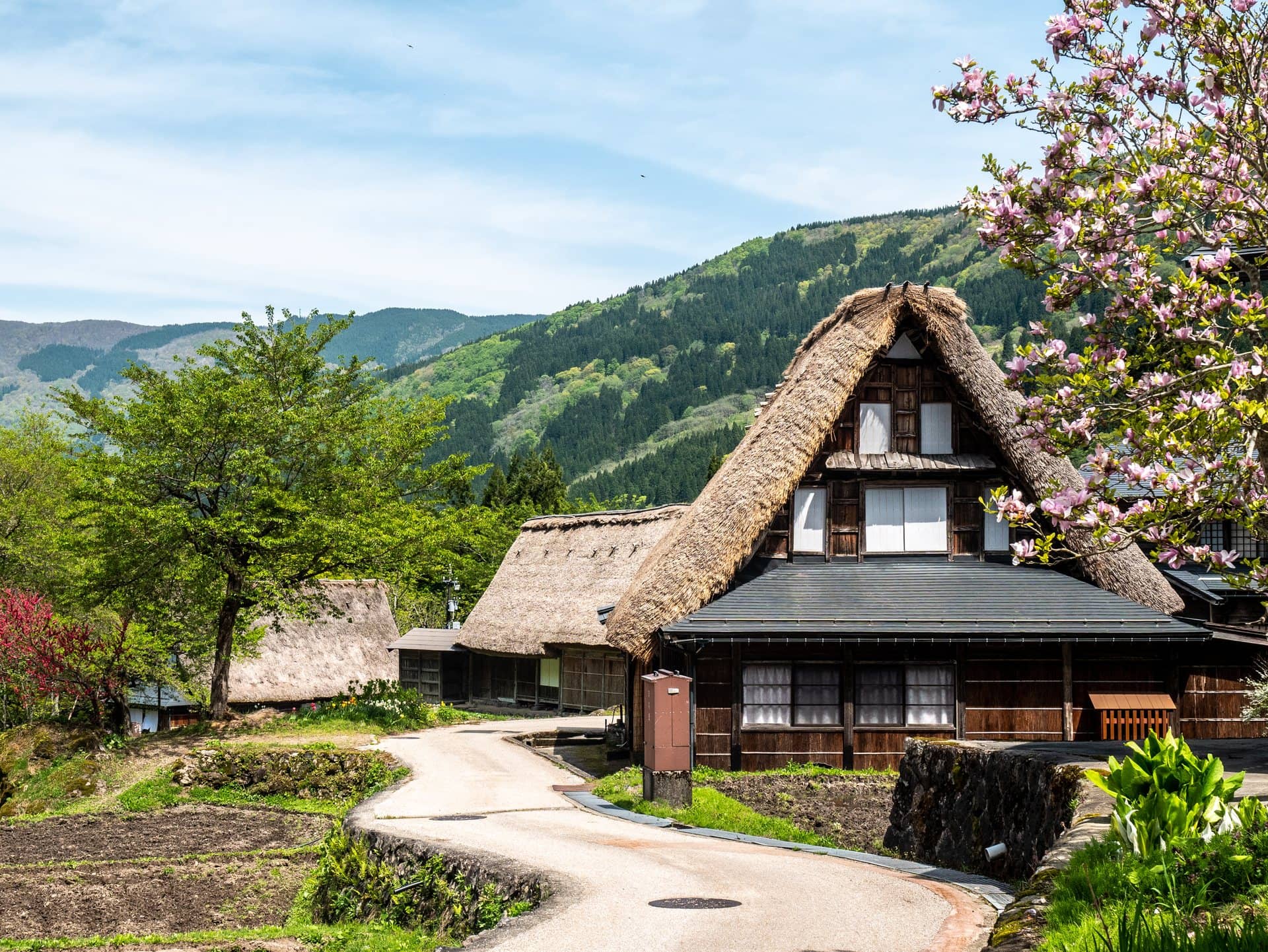 Ruelle et toit de chaume au printemps à Ainokura
