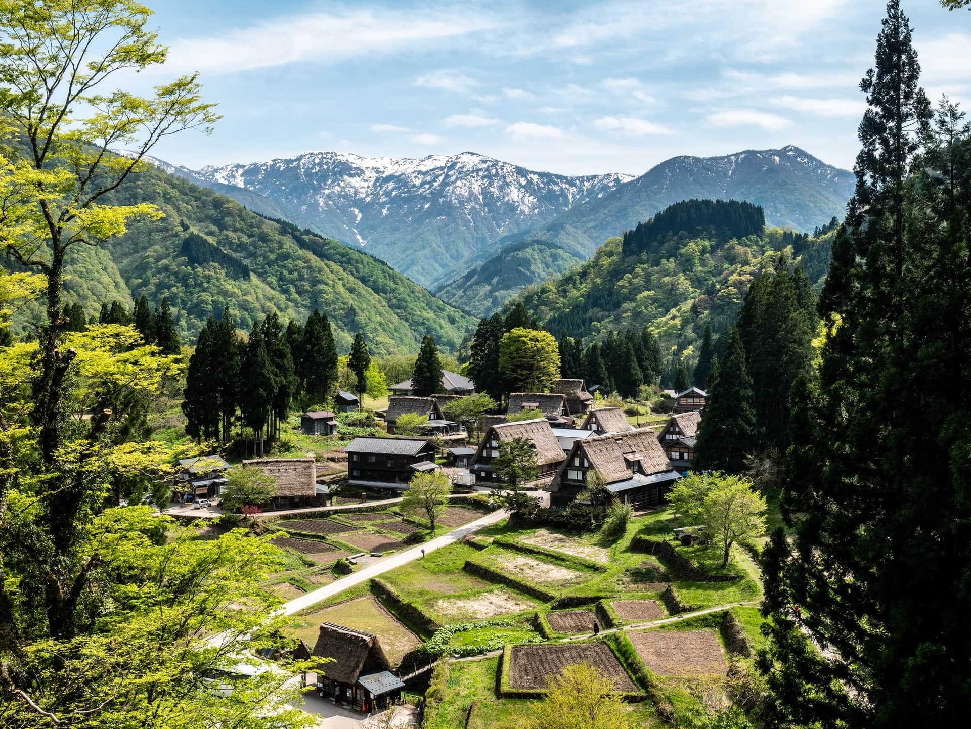 Vue sur le village d'Ainokura et ses rizières depuis le belvédère