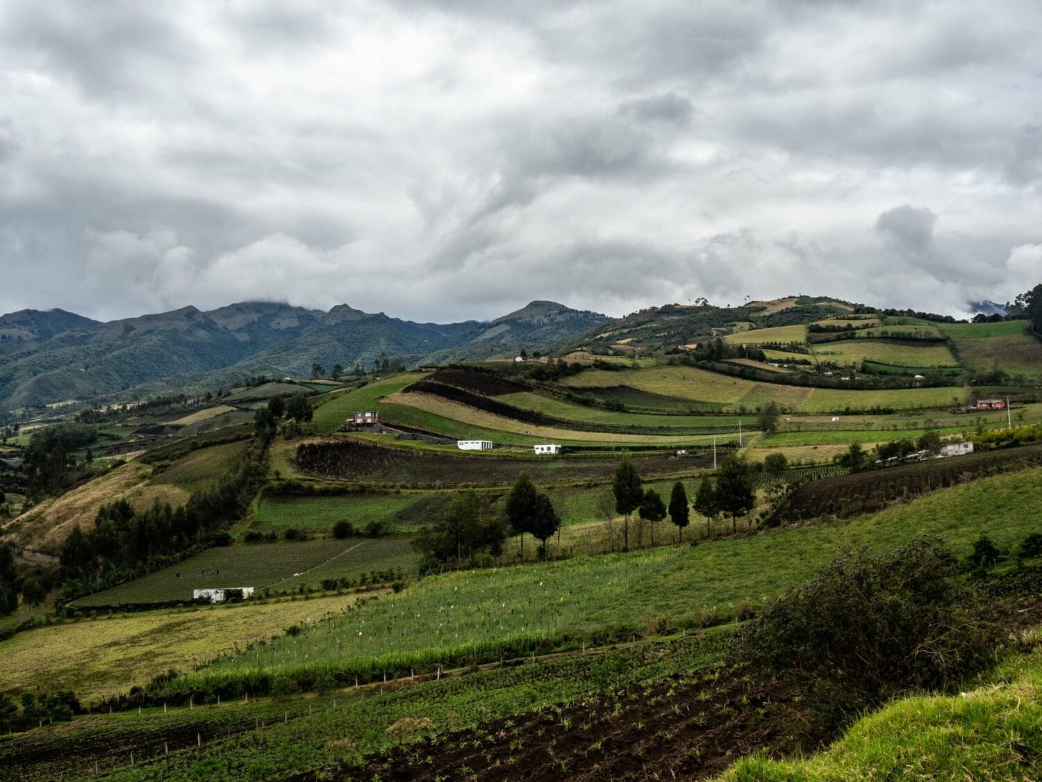 Champs en patchwork dans la campagne d’Otavalo