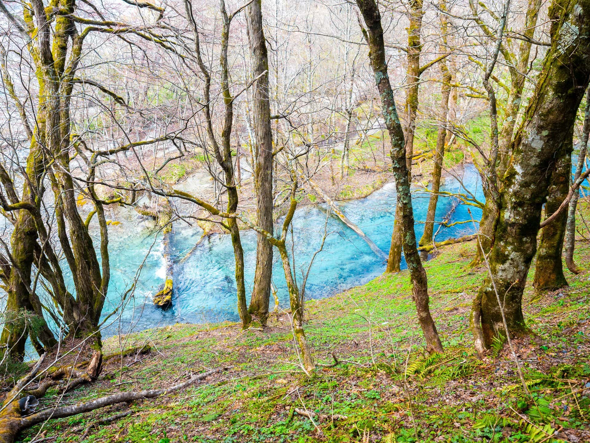 Eau turquoise à travers la forêt sur le sentier de Myojin-ike