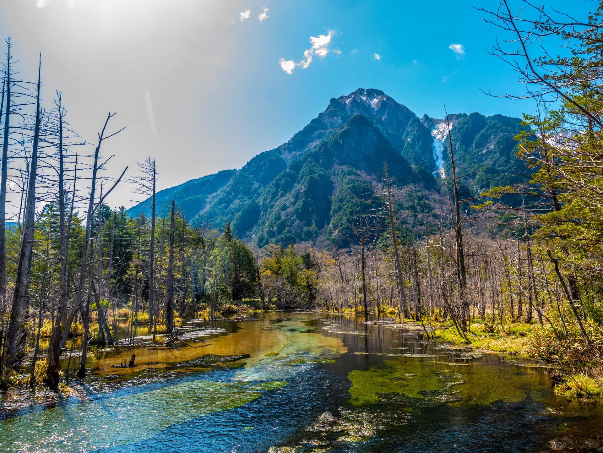Zone humide et arbres morts au pied des montagnes de Kamikochi