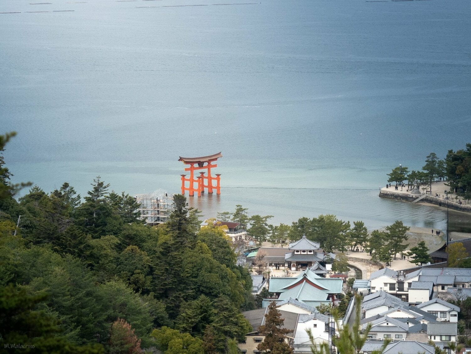 Le torii d'Itsukushima vu depuis les pentes du mont Misen