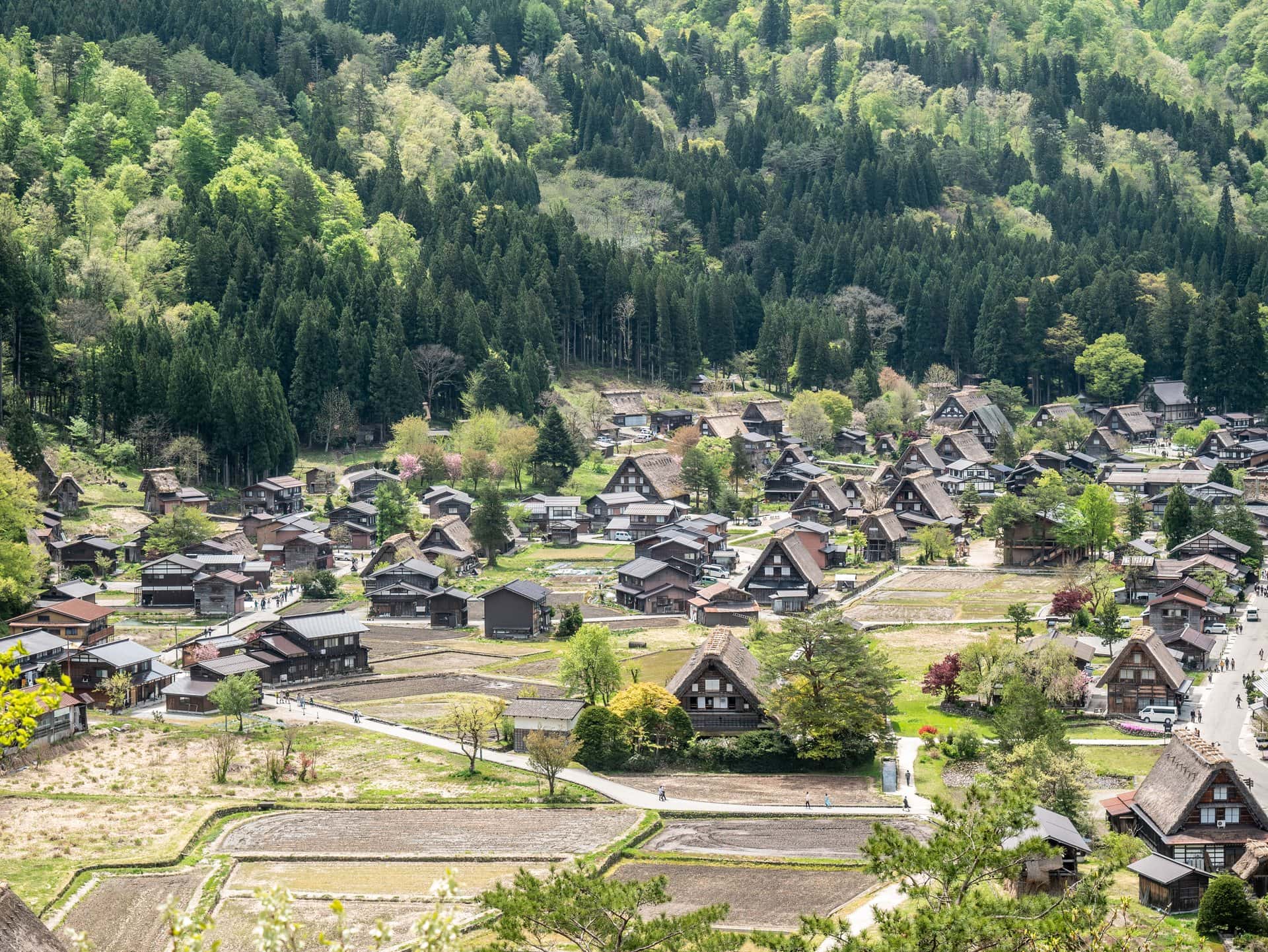 Vue sur le village de Shirakawa-go depuis l'observatoire de Shiroyama