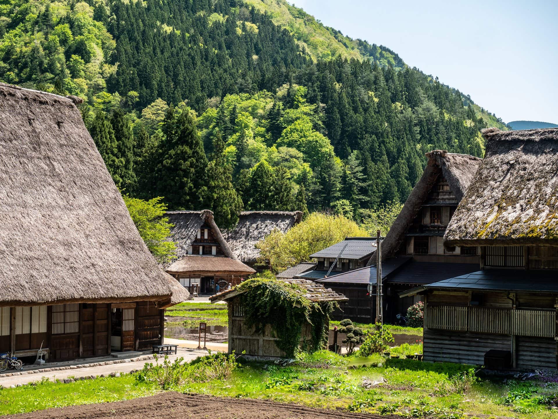 Maisons gassho-zukuri au toit de chaume à Suganuma