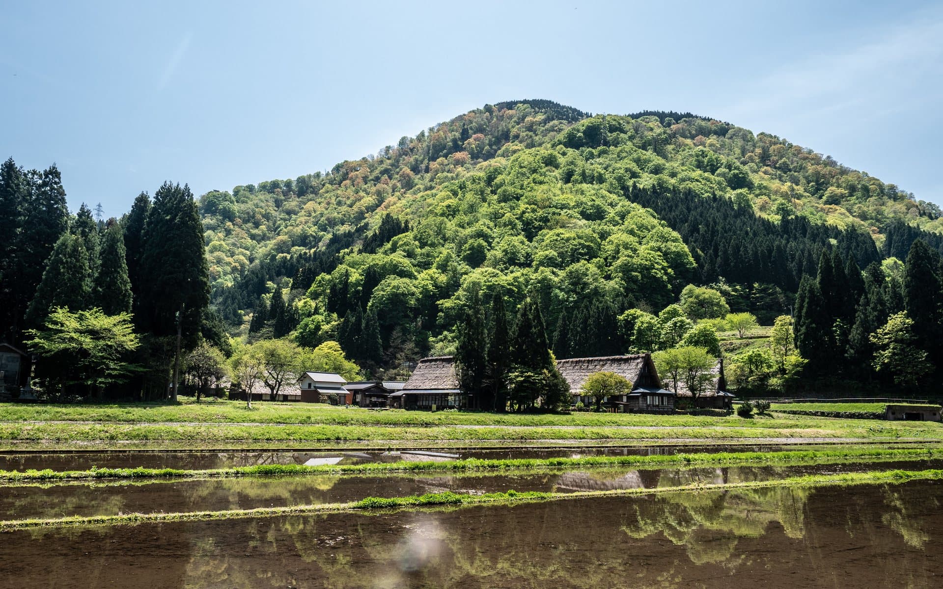Rizières et forêts autour du village de Suganuma