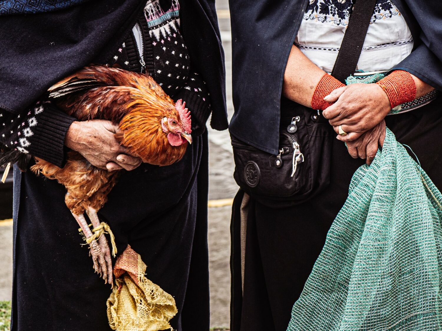 Vente d’un coq au marché aux animaux d’Otavalo