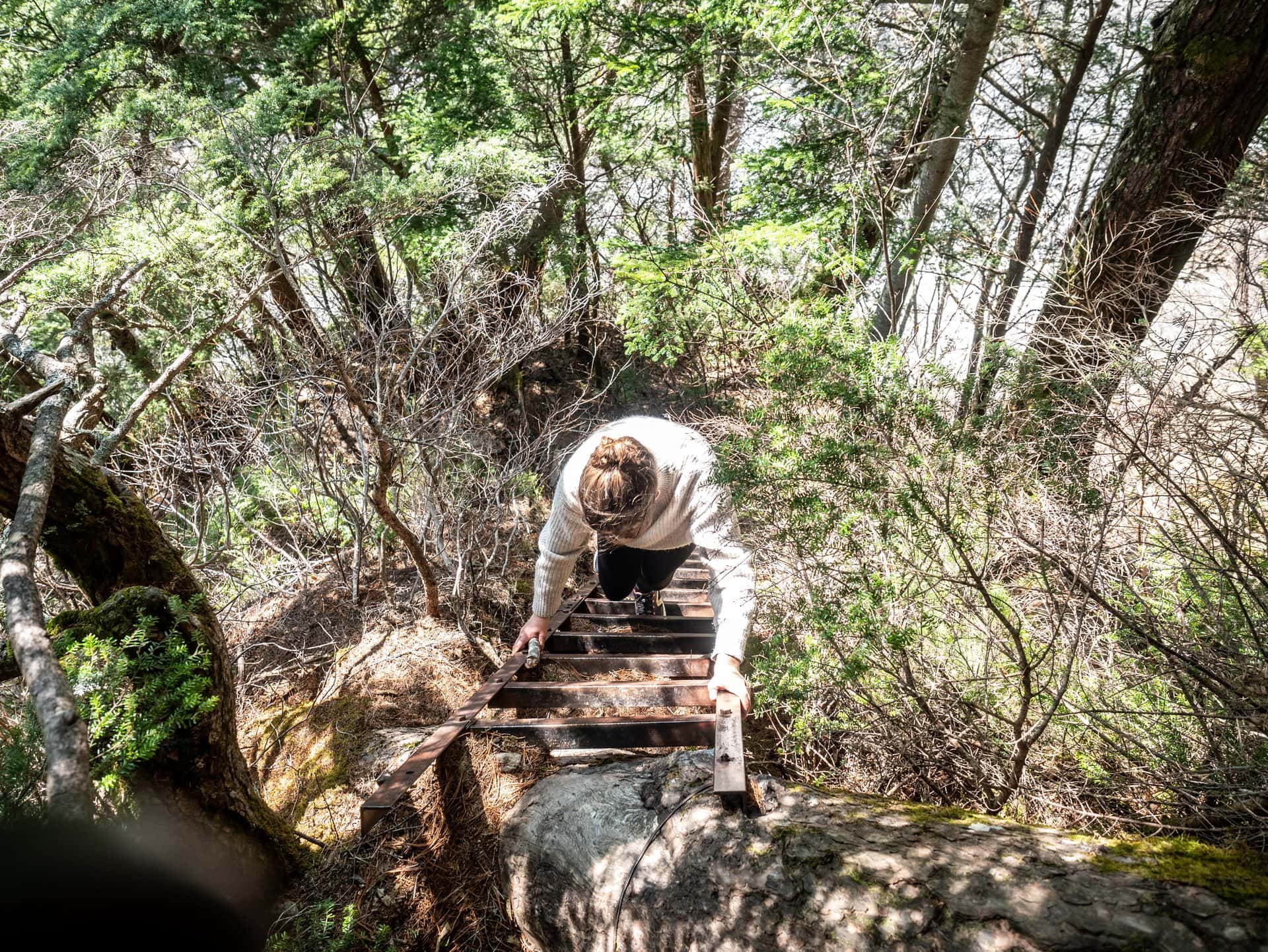 Échelle sur le sentier du mont Yakedake