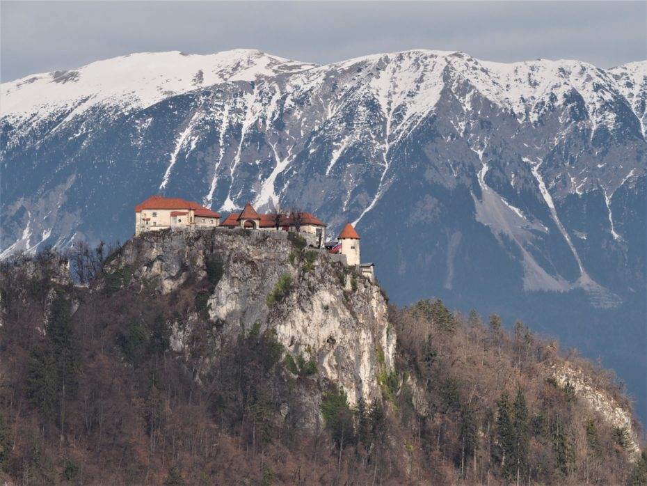 Château de Bled