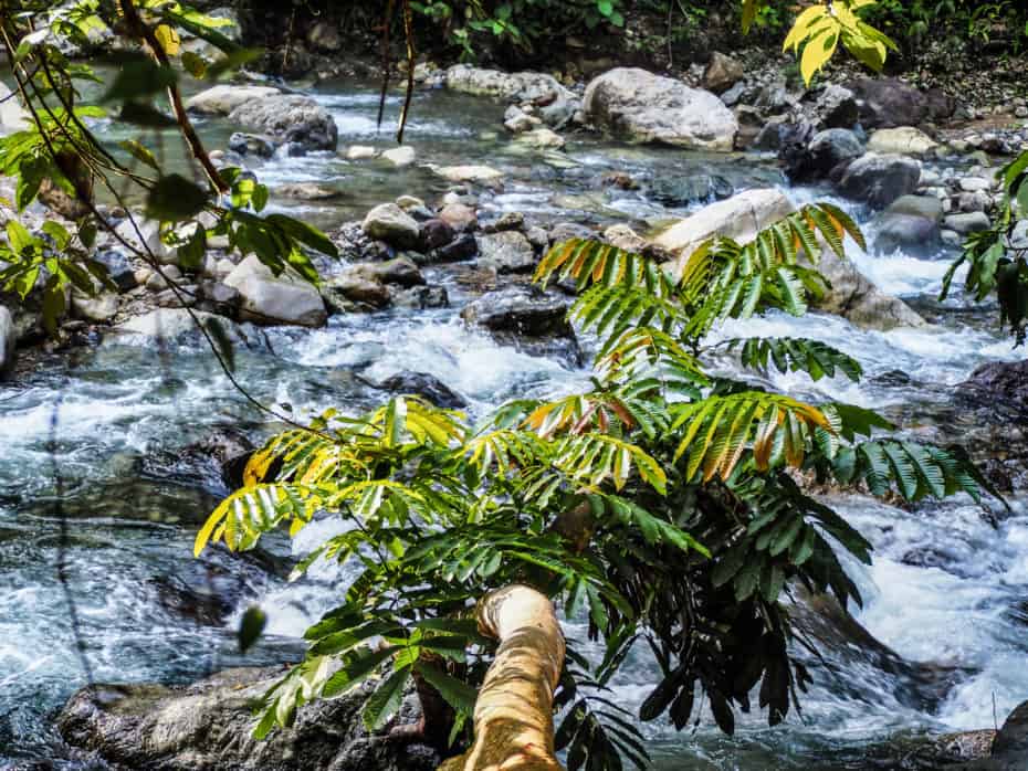rivière jungle sumatra