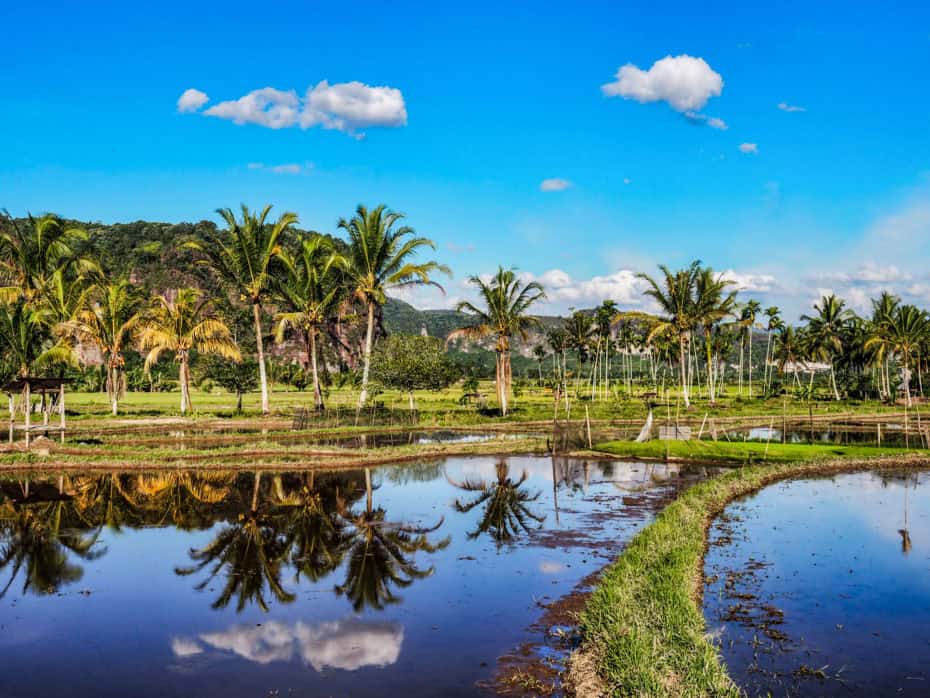 Paysage vallée d'Harau