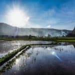 irrigation rizières sumatra